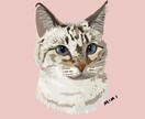 あなたの猫さんのイラストをかきます ＊お名前いりのすてきな似顔絵＊ イメージ8