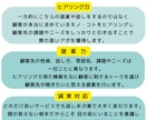 法人営業はプロにお任せ！テレアポの代行を致します 顧客先へあなたの代わりにサービスを提案｜50社〜対応します！ イメージ3