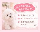 怖がりな愛犬のお悩みを一緒に考えます 物音や他の犬を怖がる愛犬との接し方を一緒に考えます イメージ2