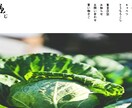 格安！！WordPressでホームページつくります サポート付きの自分で管理するホームページ持ちましょう イメージ3
