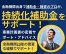 小規模事業者持続化補助金の計画書をサポートします 補助金業務10年、140社の実績でサポート！ イメージ1