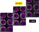 リタッチで色彩補正+不要物除去します 不要物除去して色彩補正で写真を綺麗に致します✵੯•`໒♥ イメージ2