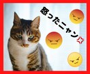 あなたの怒り⚡️どんな些細なことでもお聞きします 心の中のイライラ吐き出して下さい イメージ1