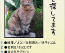 迷子のペットを捜索チラシ作ります ちょっとでも早く探したいですよね！早急対応 イメージ1