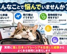 ペットとのマレーシア移住・帰国の疑問に答えます 猫と日本⇄マレーシアを往復した実体験からお答えします イメージ2