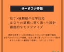 簡単モザイク＆モノクロ処理GPTsセット提供します 30秒でモザイク＆モノクロ！AI（ChatGPT）2つセット イメージ6