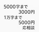 Kindle出版リライト代行いたします 初心者OK！読みやすくリライトします イメージ6