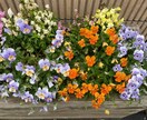 人から妬まれるような自慢話し喜んで聴きます ちょっとした自慢からビッグな自慢まで♡妬まれそうな話聴きます イメージ5