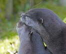 何気無い話なんでも聴きます 暇つぶし大歓迎！ジャンル問わず話し相手になります！！ イメージ1