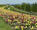 そのモヤモヤ晴らします 1人で悩まず相談してね！貴方の気持ちを晴らします イメージ1