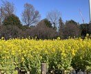 接客経験30万人以上です◎いつでも、寄り添います 雑談、相談なんでも大丈夫です◎ イメージ2