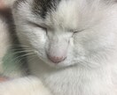 お話聞きます あなたの自慢出来ることや悩み、暇潰しにお話しましょう！ イメージ1