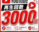 YouTube再生回数＋3000回増加しますます 初動強化・減少補填対応・複数投稿OK イメージ1