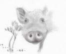 可愛い「ウチの子」を誕生花と共にお描きします 大事なペットのお顔を誕生花を添えて鉛筆画に イメージ3