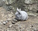 よく笑うアラサーがお話し相手になります 182cmの背高ノッポがあなたに寄り添ったりします イメージ10