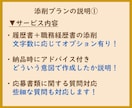 添削プラン　職務経歴書や応募文章をプロが添削します プロ品質の文章を作成/結果に直結　総販売実績1600件突破 イメージ2