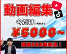 現役youtuberが編集します youtuberだけでなく企業案件実績もあり！ イメージ1
