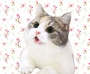 かわいいペットたちの可愛画像作ります いつもの写真が思い出の一枚に！ イメージ8