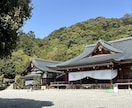 大切なペットの“気持ち”を丁寧にお伝えします 【優しいメッセージ付き】（亡くなった子もOK） イメージ4