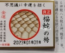 高次元エネルギー霊視で2023年を占い★祈祷します 【引き寄せの法則】で宇宙神・大好きな神様に贔屓されちゃおう☆ イメージ3