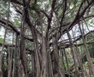 世界にひとつだけ！国内旅行プランを作成します 旅行プランを決めるのは面倒くさい！そんなあなたに特別プラン★ イメージ4