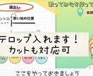 動画にテロップお入れします カット済みの「〜15分動画」で2000円で承ります イメージ1
