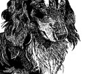 リアルなモノクロ　スタイリッシュなペット画描きます モノクロで描く、リアル×スタイリッシュなペットアート イメージ7