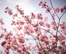 精神科医が中高生の不登校の相談に乗ります 精神科医歴20年と、不登校卒業の経験からアドバイスいたします イメージ1