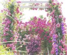 あなたに優しいメッセージをお伝えします ✩︎オラクルカード1枚引き✩︎今あなたに必要なメッセージです イメージ2