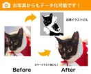 お手持ちの画像からAiデータを作成します 画像データを迅速・丁寧に入稿データにトレースいたします！ イメージ3