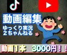 動画編集承ります ※２ちゃんねる、ゆっくり解説（実況）など イメージ1