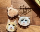 うちの子のお写真でスマホグリップを作成します 年末年始も休まず営業しております＾＾ イメージ3