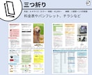 店舗向けのチラシやPOPを作成します 素人による簡単・シンプルなデザインです イメージ4
