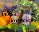 オリジナルのドリンクを製品化サポートします オリジナル清涼飲料水を商材に開業したい人必見です！ イメージ9