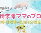 目に留まる★ステキなバナー・ヘッダーデザインします 全サイズ同料金！修正回数無制限！★おまとめ割有り★ イメージ3