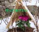 押し潰されそうな気持ち♡まるごと優しく受け止めます どうしよう！❣️適応障害　パニック　　責任感　不安　繊細敏感 イメージ4