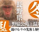 動画編集サポート！サムネイル制作＆動画編集します ゼロベースでも安心！デザイン＆構成の相談から承ります！ イメージ4