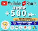 YouTubeの再生回数を500回伸ばします 正規のYouTube広告を使用した安心・安全のプロモーション イメージ1