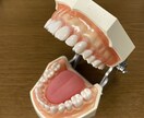 歯科衛生士が歯磨きの質問に答えます 歯医者さんに行かなくても歯科衛生士に歯磨きの相談ができます イメージ2