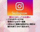 インスタのリール再生回数＋10,000回拡散します リール回数/30日間保証/振り分け⑤動画無料/フラグオフ必須 イメージ8
