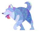 カラフルでお洒落なペットのイラスト描きます あなたのペットのイメージカラーは? イメージ4