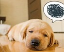 誰にも話せないこと等など、何でも聞かせて頂きます 疲れている、何だかもやもやஇ、とにかく寂しい方、暇な方♡ イメージ2