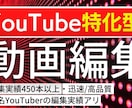 YouTubeに特化した動画編集致します 450本以上の動画編集実績あり！ イメージ1