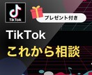プロがTikTokに関して全ての情報を教えます これから始めようとしている方向け！運用に基づく最新情報も！ イメージ1