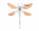 イラスト作成、承ります 人物、キャラクター、アイコン、小物までOK イメージ4