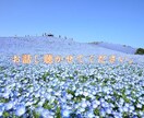 身近な人には話せないことお聴きします 結婚、人間関係、嫁姑の問題等なんでもご相談ください！ イメージ1