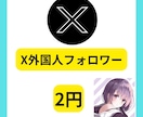 Xの外国人フォロワー増やします Xのフォロワーを増加し、集客力と認知向上力アップ！ イメージ1