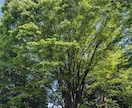 あなたに伝えたいことばがあります 母親の役割に囚われていませんか？あなたの悩みに寄り添います イメージ5