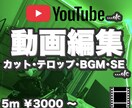 Youtubeなどsns用の動画編集をします Youtubeやtiktokなどの動画編集を代行します！！ イメージ1