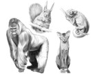 最短当日納品！写真を元に手頃な似顔絵を描きます 他には無い！…かも？手頃な値段であなただけの1枚を❁*.ﾟ イメージ3